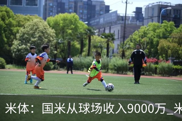 米体：国米从球场收入9000万 米兰6000万，加一起不如皇马巴黎等